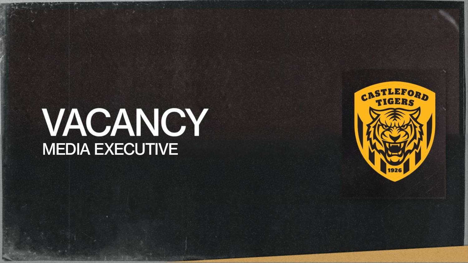 VACANCY: Media Executive