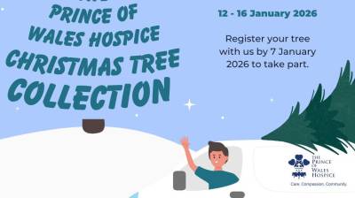 Prince of Wales hospice Christmas tree collection